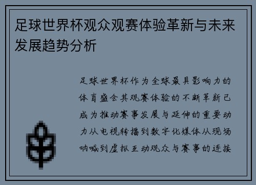 足球世界杯观众观赛体验革新与未来发展趋势分析 足球世界杯观众观赛体验革新与未来发展趋势分析